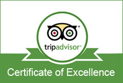 Giấy chứng nhận xuất sắc của TripAdivsor - Công Ty Du lịch BestPrice - BestPrice Travel